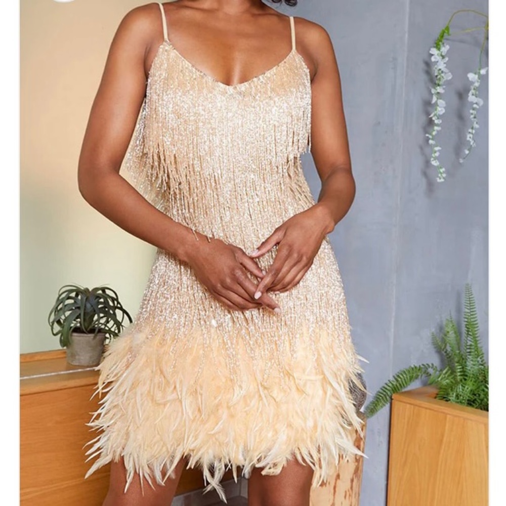 Feather Sequin Tassels Dress